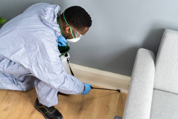 Real Estate Pest Inspections in Union City, OK